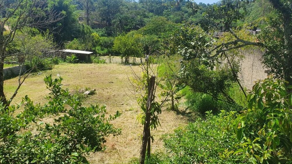 Chácara, 3 quartos, 1215 m² - Foto 29