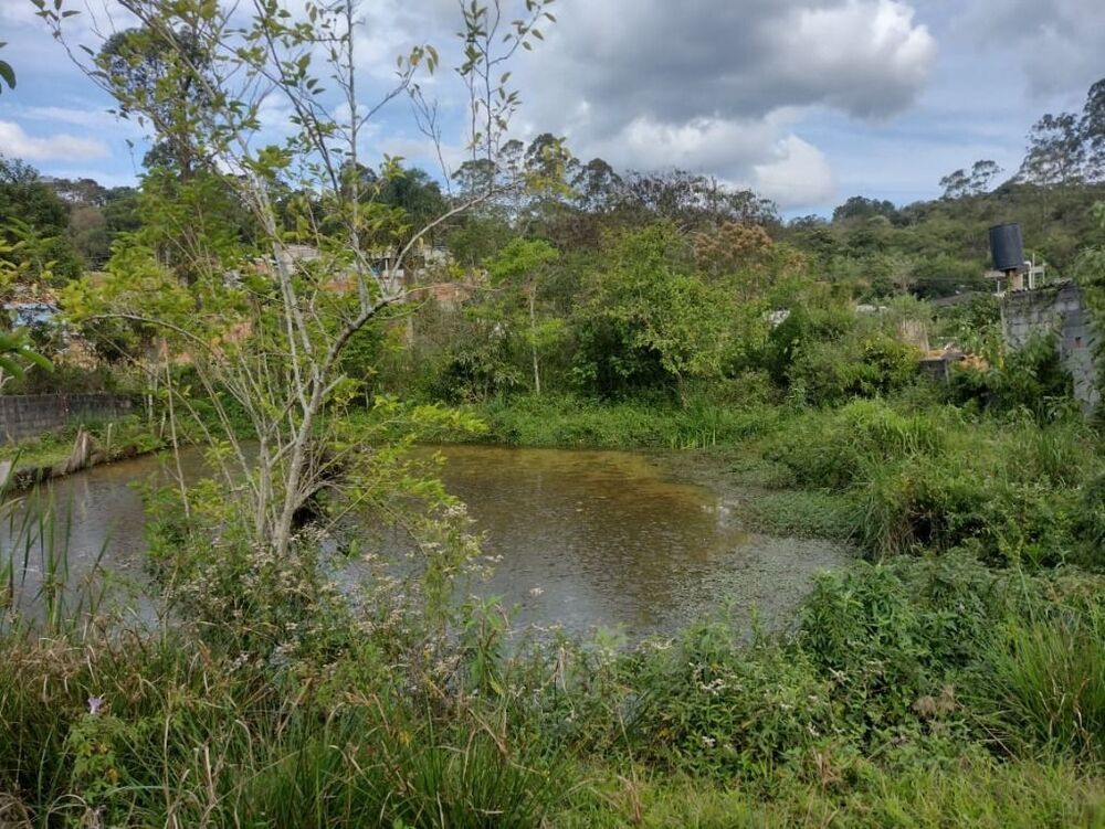 Chácara, 3 quartos, 1215 m² - Foto 22