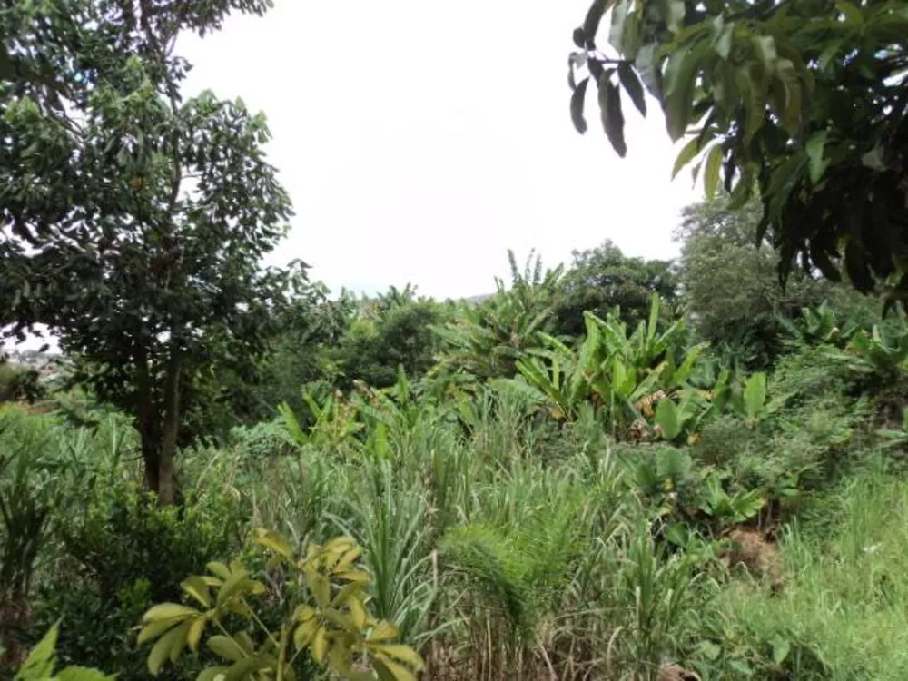 Terreno, 904 m² - Foto 6