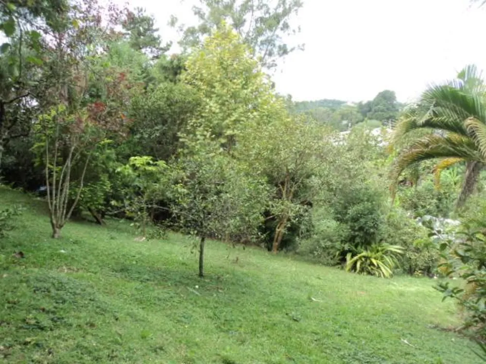 Terreno, 904 m² - Foto 5