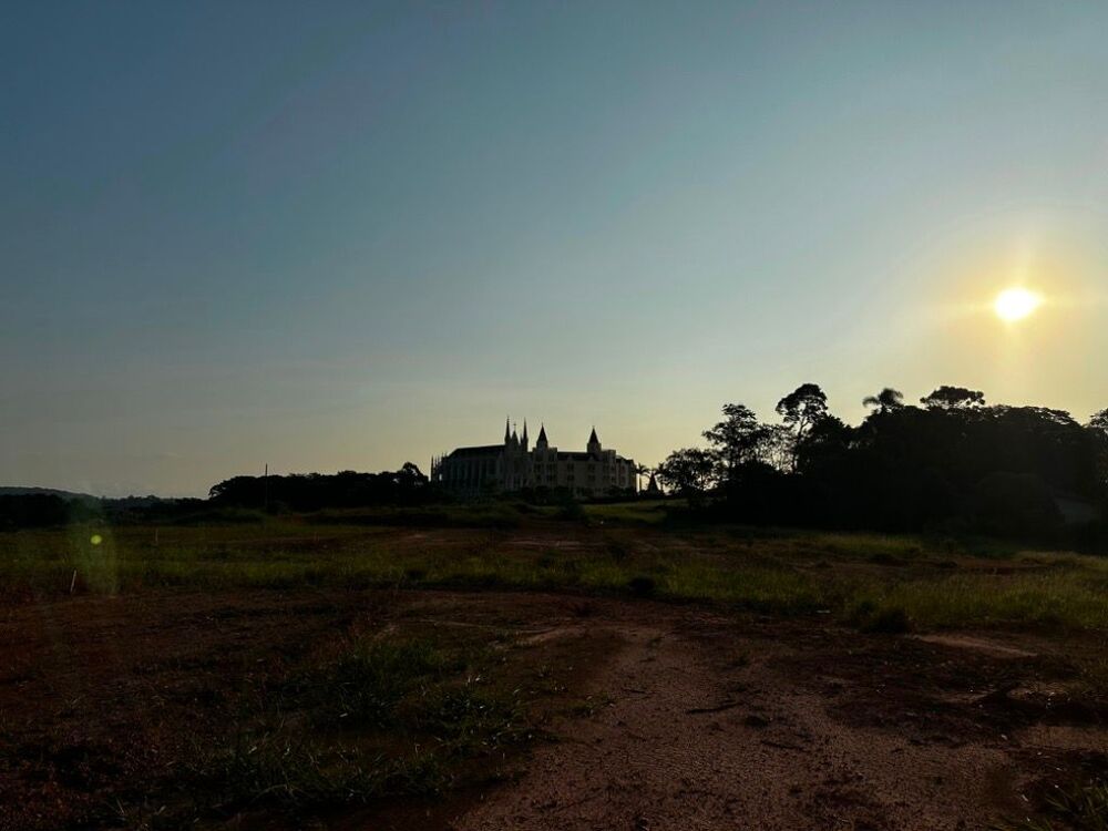 Terreno, 5 hectares - Foto 7