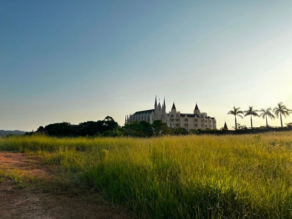 Terreno, 5 hectares - Foto 17