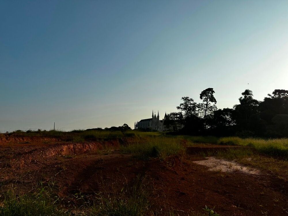 Terreno, 5 hectares - Foto 6