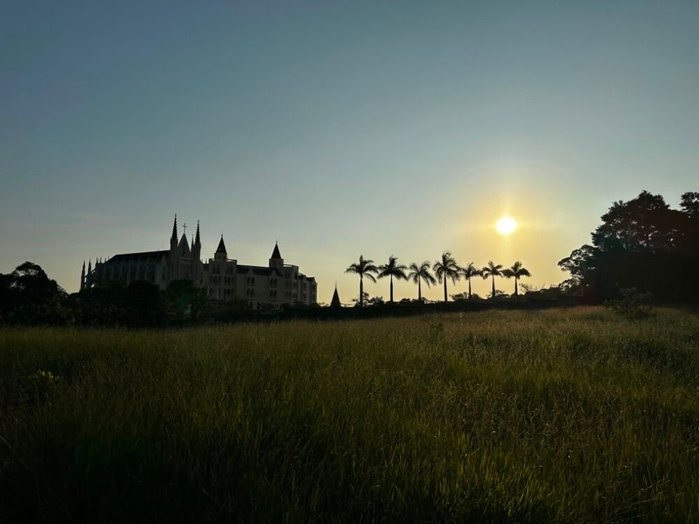 Terreno, 5 hectares - Foto 16