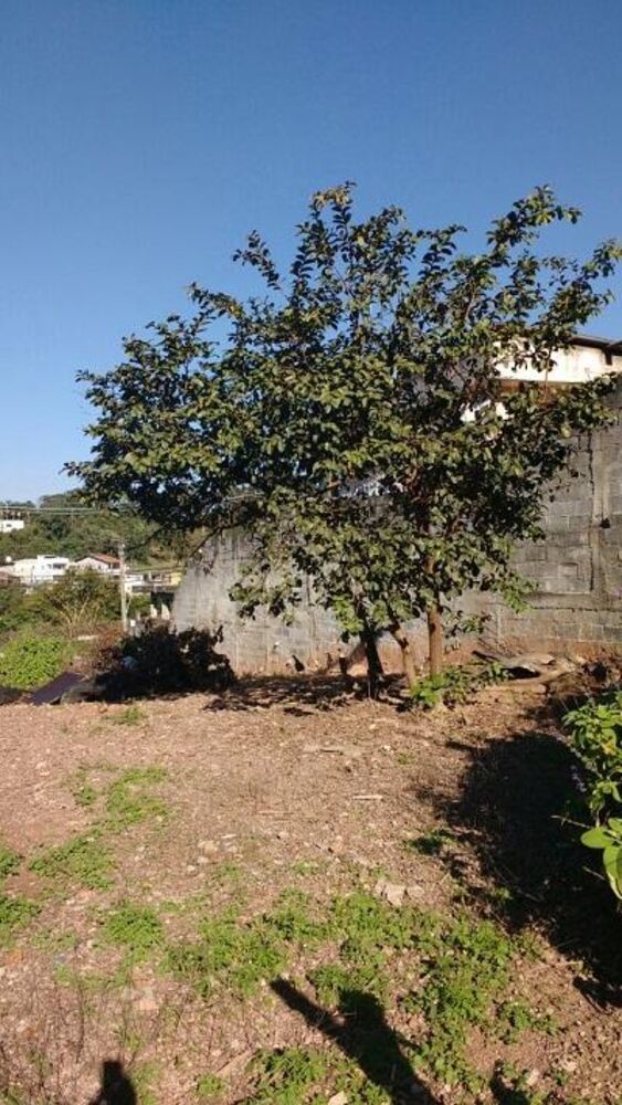 Terreno, 450 m² - Foto 3