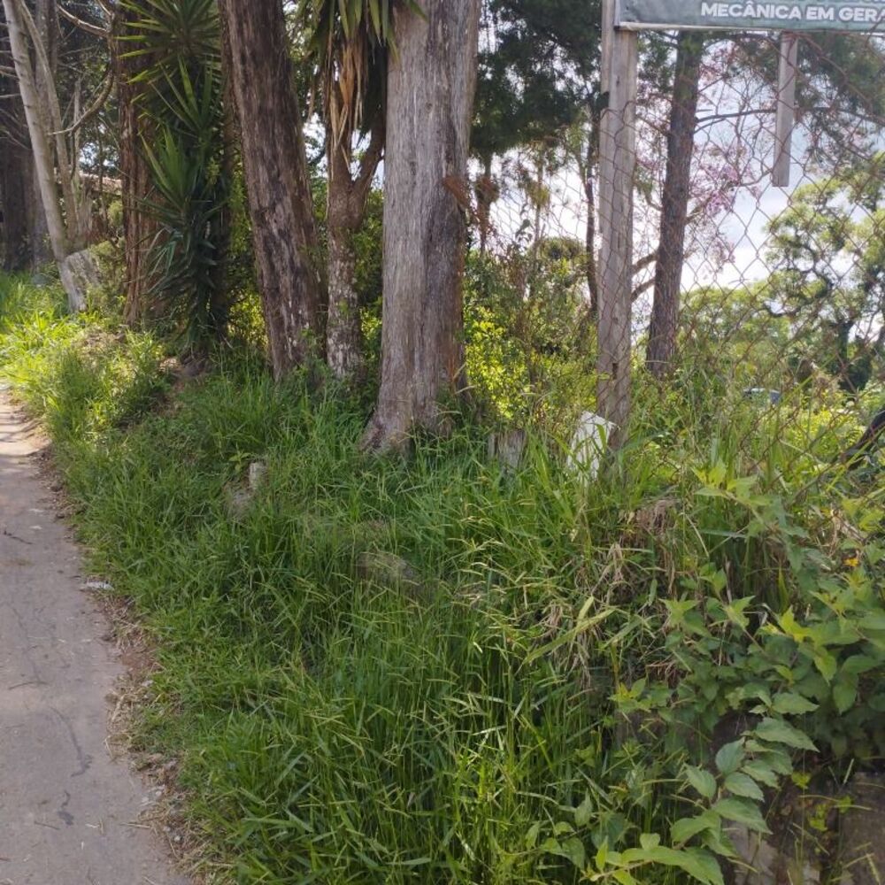 Terreno, 5700 m² - Foto 10