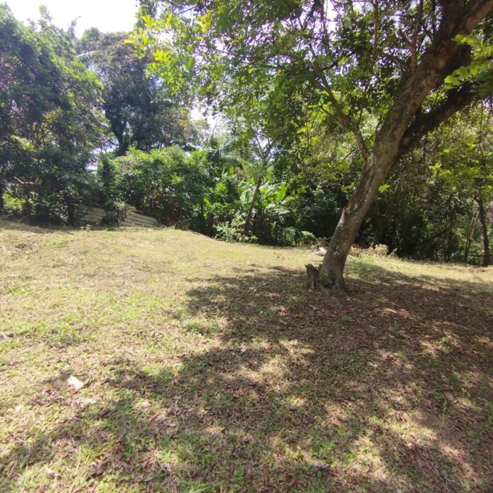 Terreno, 5700 m² - Foto 6