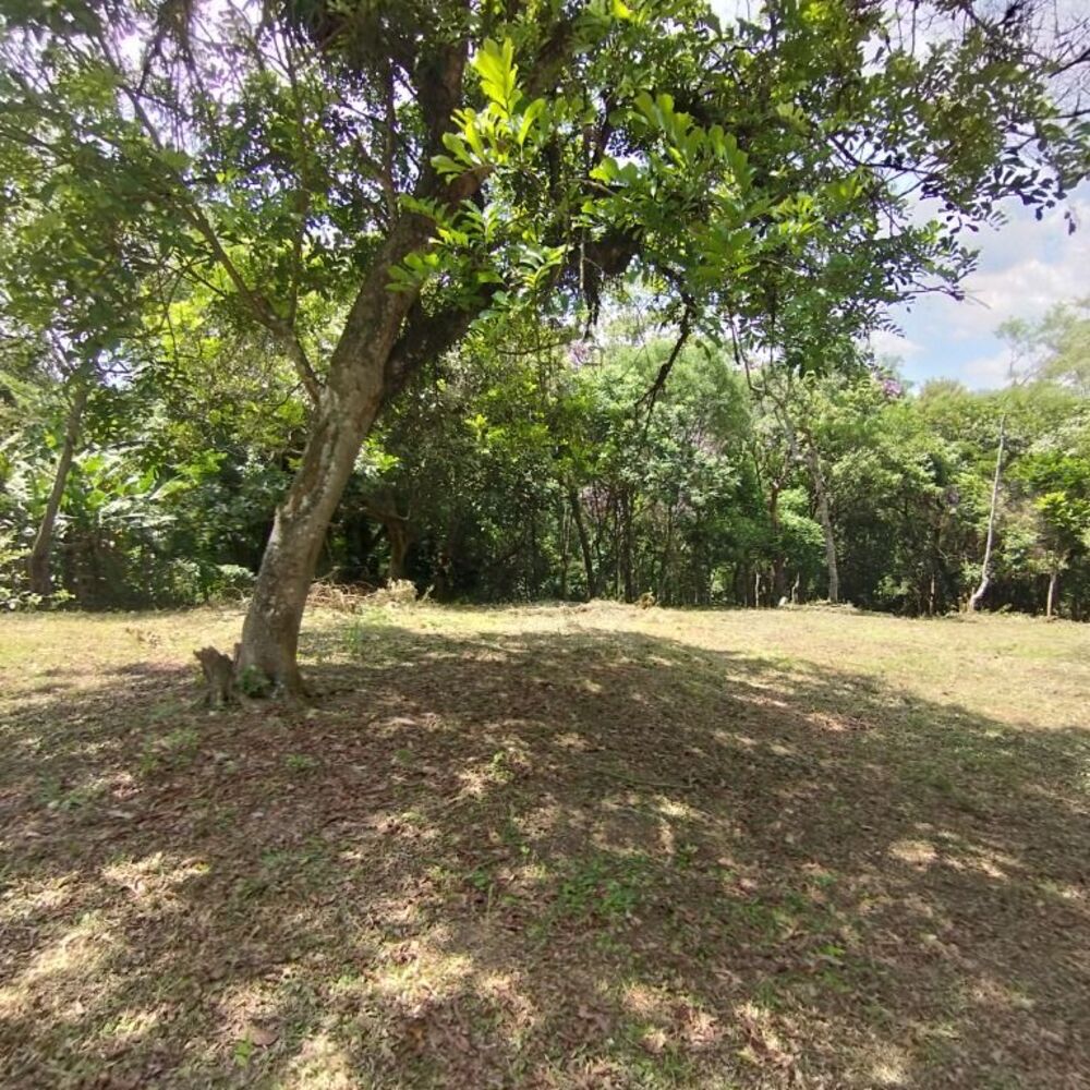 Terreno, 5700 m² - Foto 4