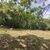 Terreno, 5700 m² - Foto 1