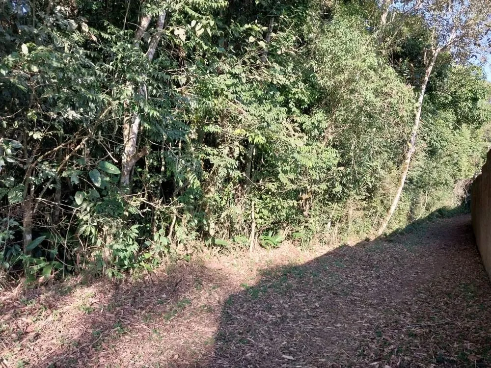 Loteamento e Condomínio, 2650 m² - Foto 12