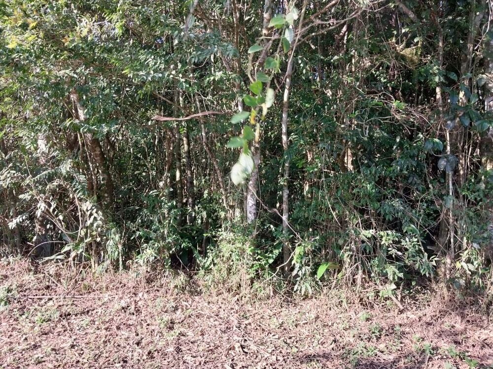 Loteamento e Condomínio, 2650 m² - Foto 3