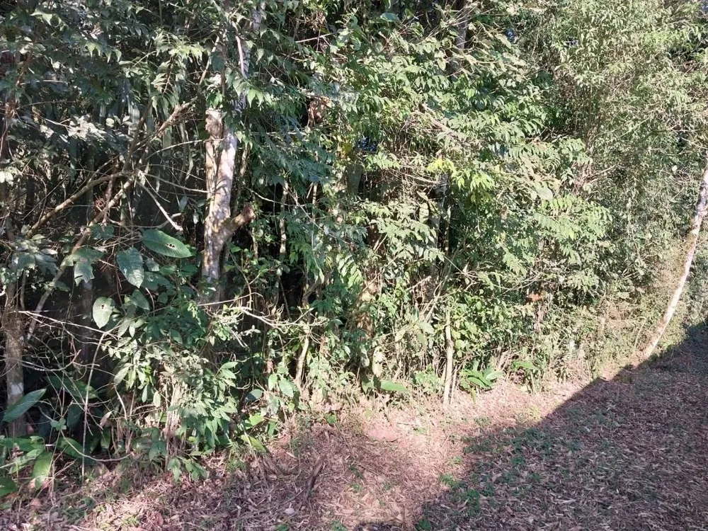 Loteamento e Condomínio, 2650 m² - Foto 10
