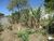 Terreno, 160 m² - Foto 10