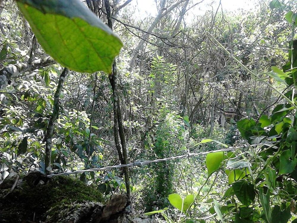 Terreno, 1000 m² - Foto 20