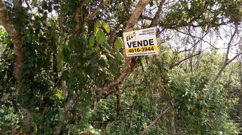 Terreno, 1000 m² - Foto 7