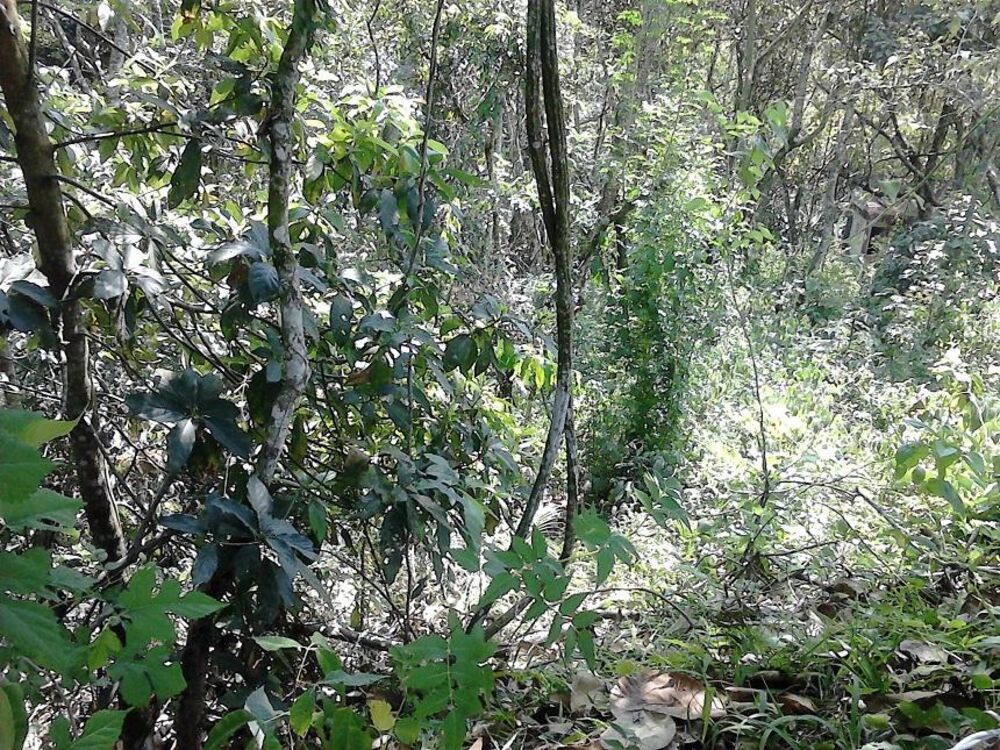 Terreno, 1000 m² - Foto 17