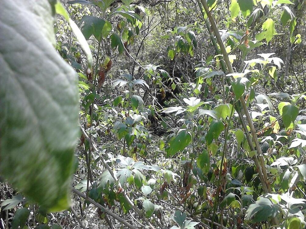 Terreno, 1000 m² - Foto 15