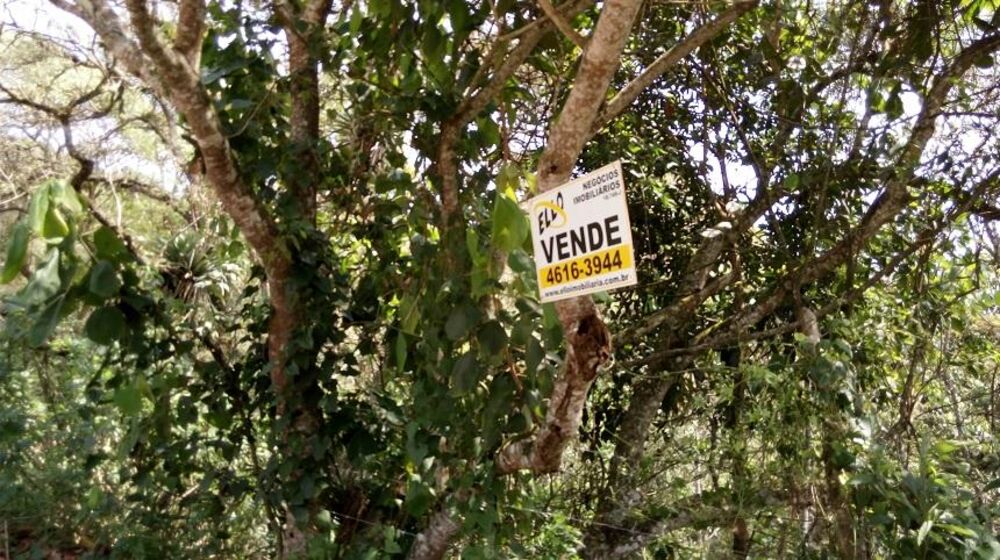 Terreno, 1000 m² - Foto 21