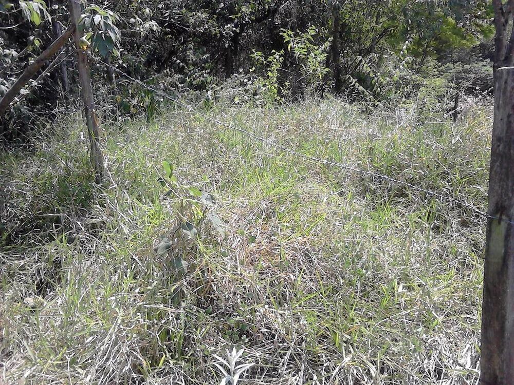 Terreno, 1000 m² - Foto 9