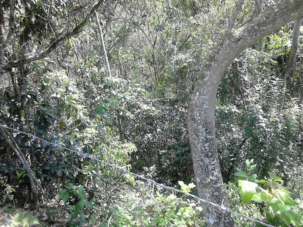 Terreno, 1000 m² - Foto 13