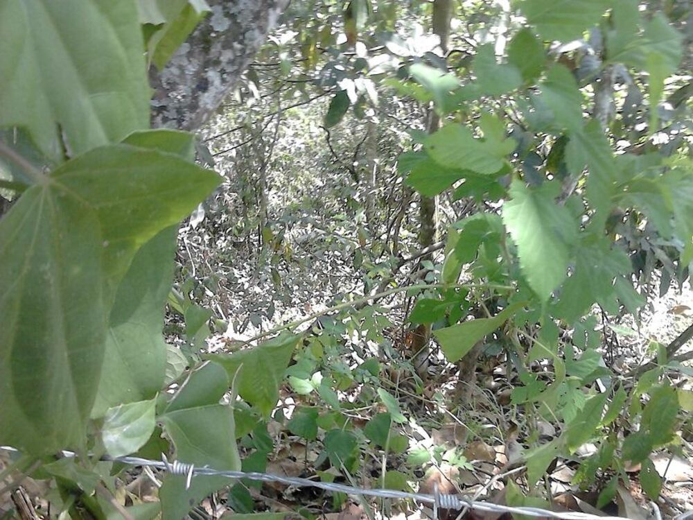 Terreno, 1000 m² - Foto 19