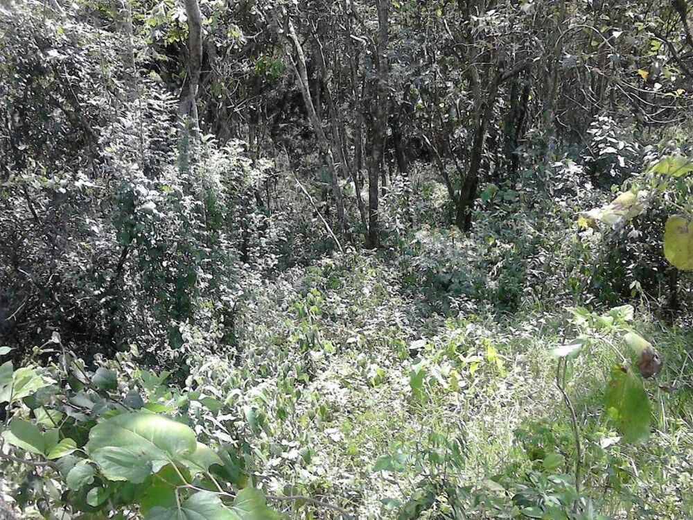 Terreno, 1000 m² - Foto 12