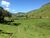 Fazenda-Sítio-Chácara, 484 hectares - Foto 8