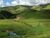Fazenda-Sítio-Chácara, 484 hectares - Foto 15