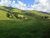 Fazenda-Sítio-Chácara, 484 hectares - Foto 13