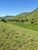 Fazenda-Sítio-Chácara, 484 hectares - Foto 7