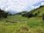 Fazenda, 484 hectares - Foto 4