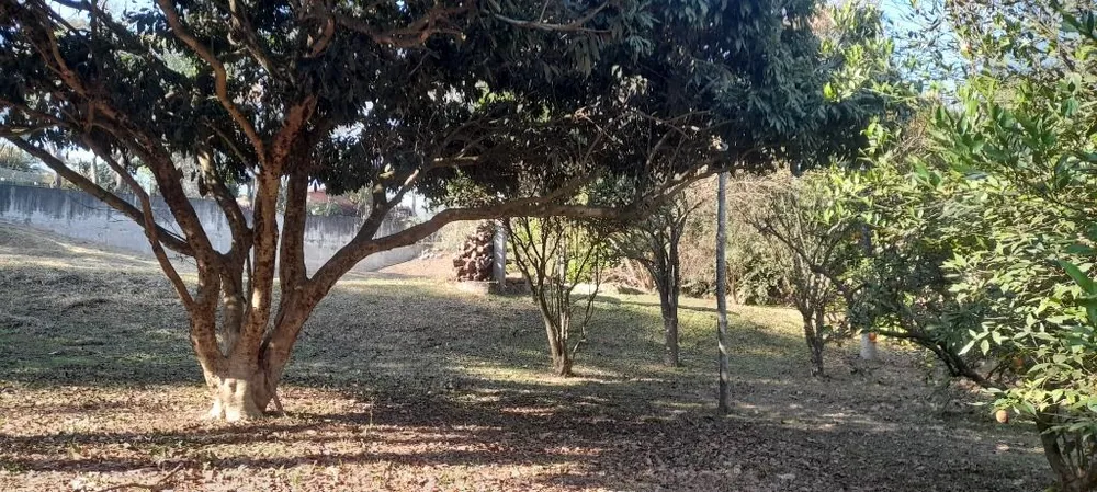 Terreno, 930 m² - Foto 5