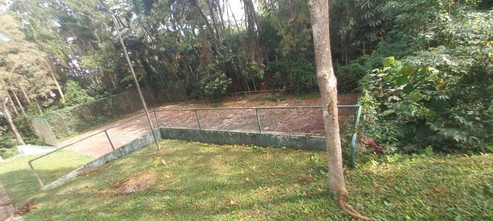 Terreno, 4 hectares - Foto 5