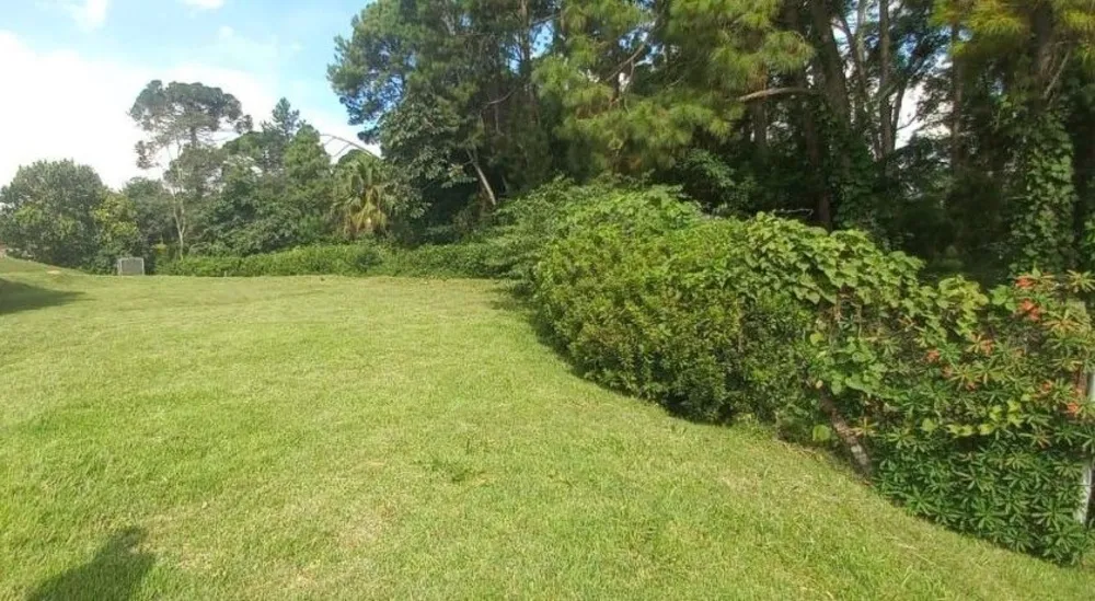 Terreno, 4 hectares - Foto 12