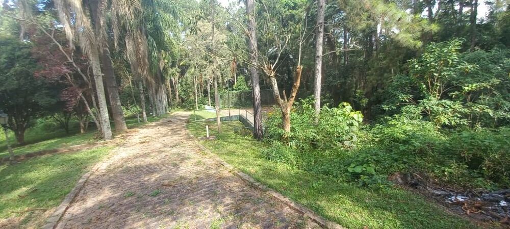 Terreno, 4 hectares - Foto 4