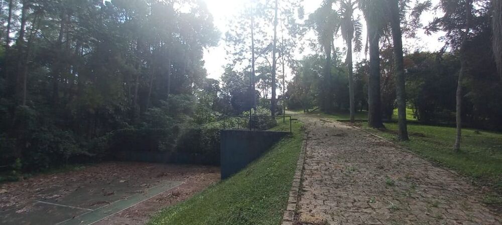 Terreno, 4 hectares - Foto 6