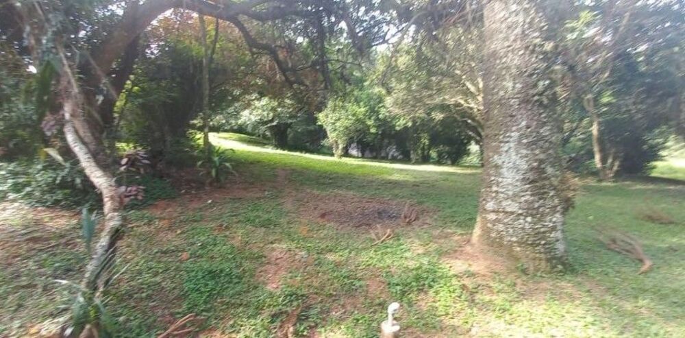 Terreno, 4 hectares - Foto 7