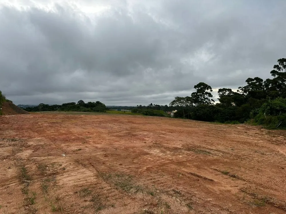 Terreno, 6 hectares - Foto 8