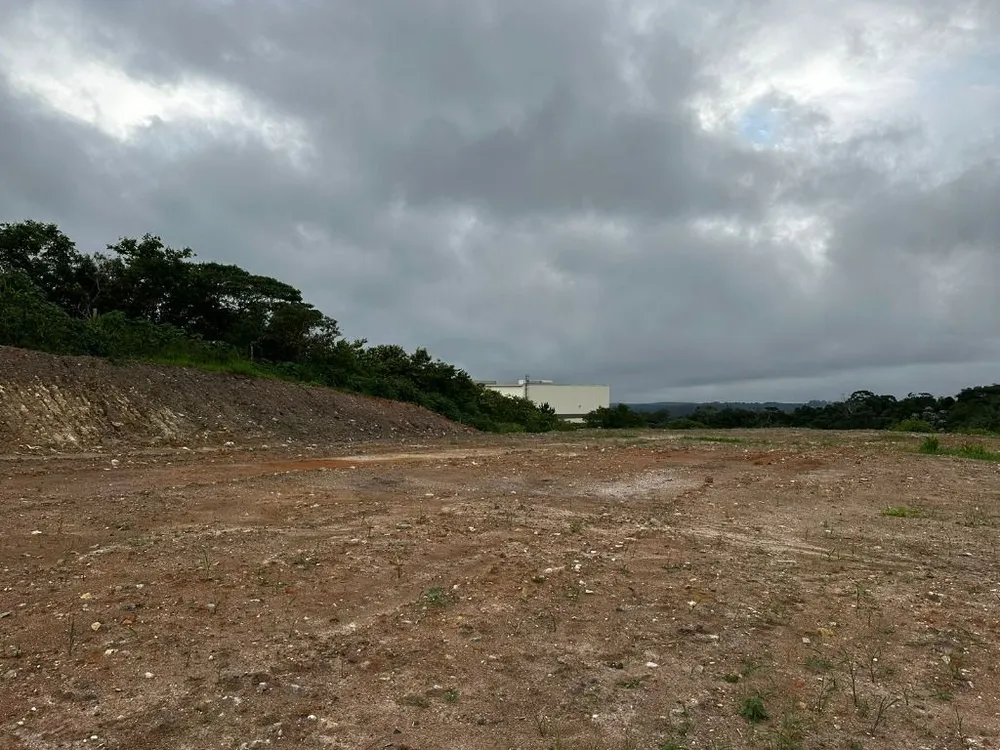Terreno, 6 hectares - Foto 9