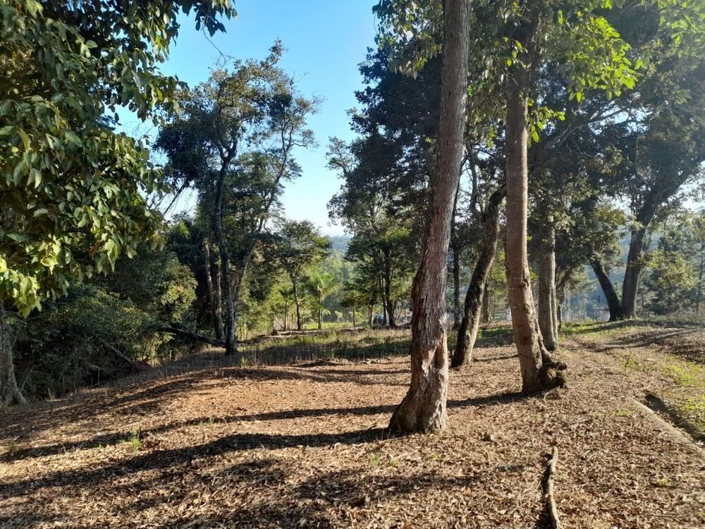 Chácara à venda com 3 quartos, 5867m² - Foto 8