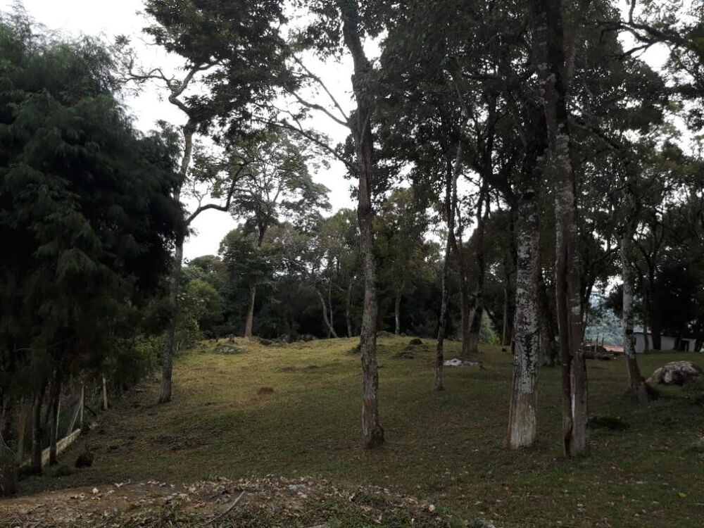 Chácara à venda com 3 quartos, 5867m² - Foto 14
