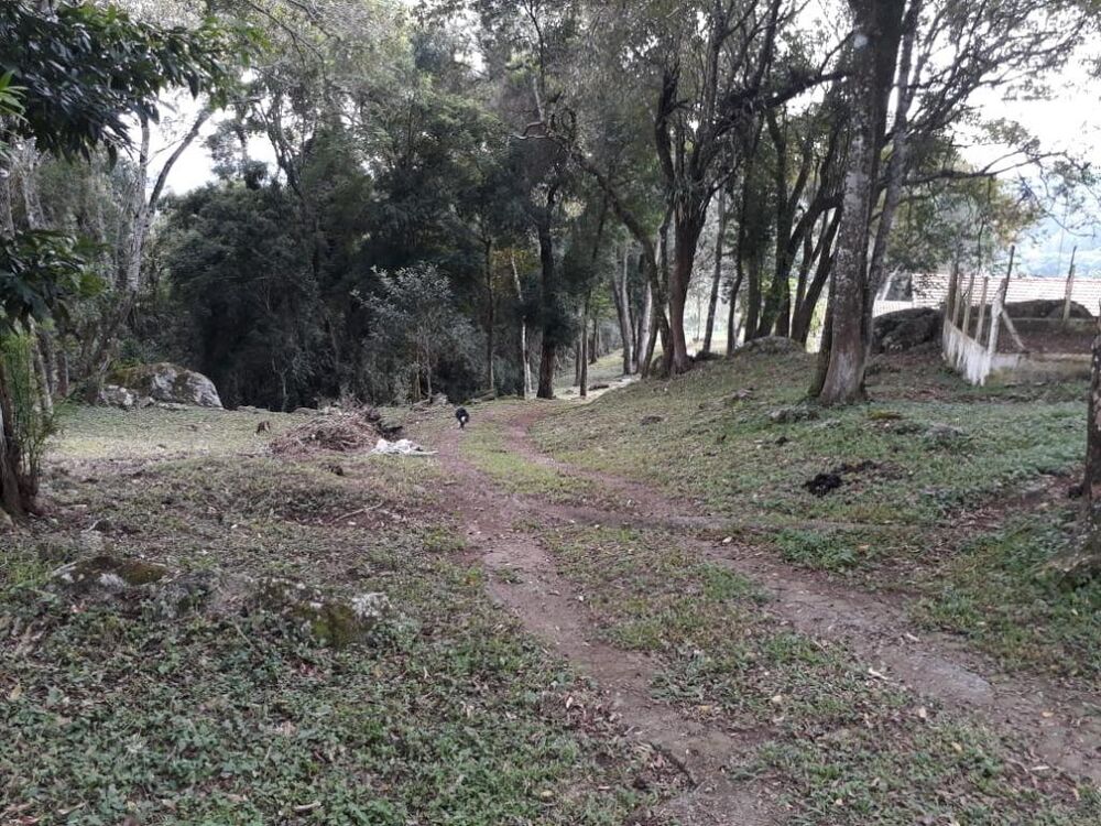 Chácara à venda com 3 quartos, 5867m² - Foto 12
