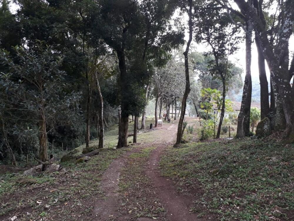 Chácara à venda com 3 quartos, 5867m² - Foto 13
