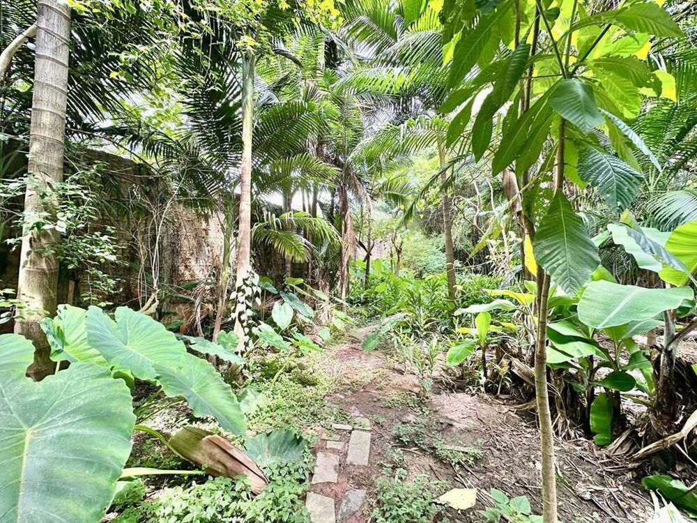 Casa, 1 quarto, 35 m² - Foto 4