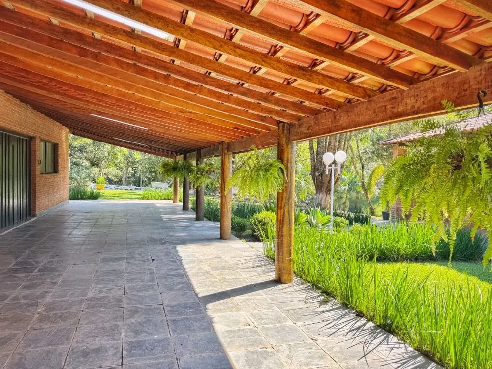Terreno, 12 hectares - Foto 8