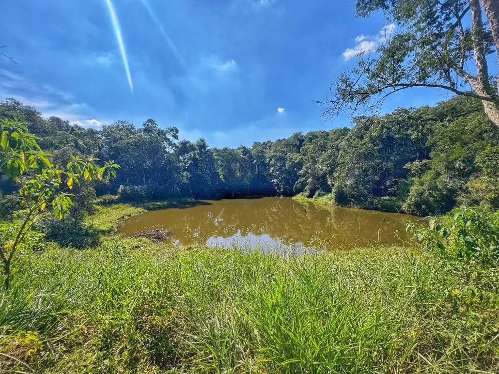 Terreno, 12 hectares - Foto 11