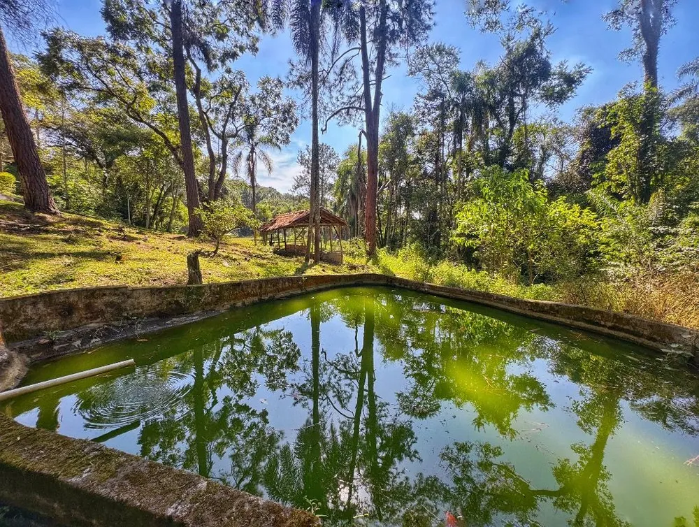 Terreno, 12 hectares - Foto 10