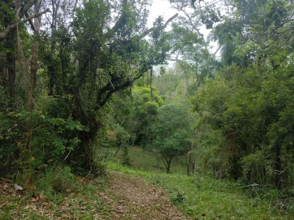 Terreno, 10 hectares - Foto 28
