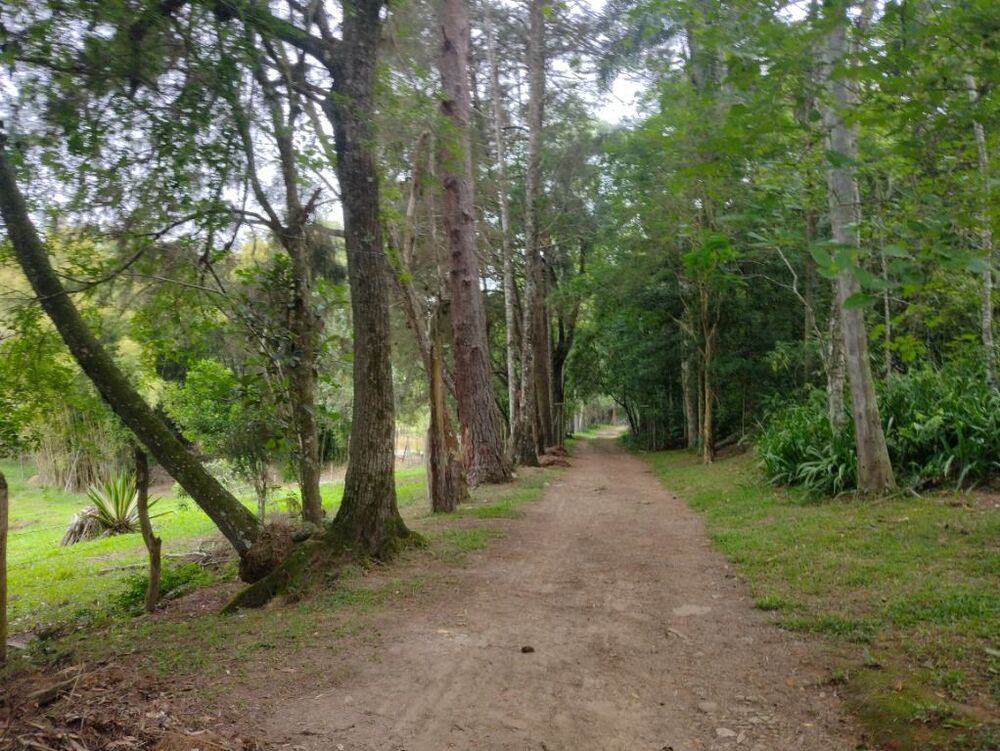 Terreno, 10 hectares - Foto 1