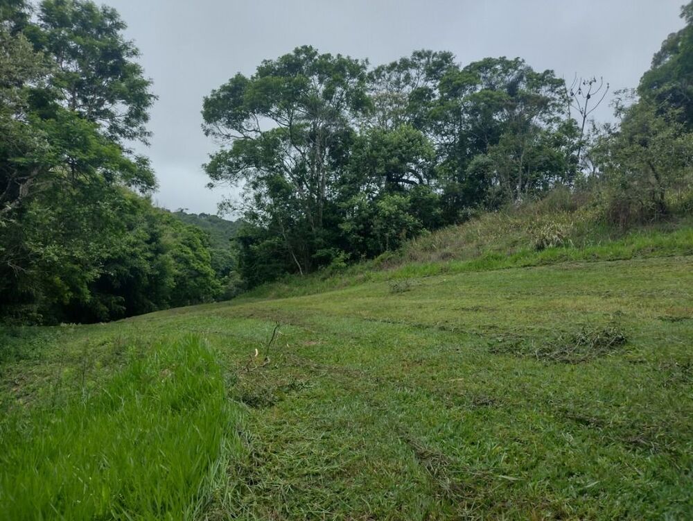 Terreno, 10 hectares - Foto 10